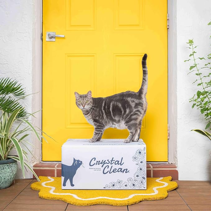 Crystal Clean Premium Fresh Scent Crystal Cat Litter with Odor Control (5X Faster), Best Lightweight, Non Clumping Kitty Litter to Absorb Urine, Dries Solid Waste (2X4.3 Lb Bags)