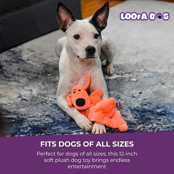 Multipet Original Loofa Dog Plush Toy Mat - Squeaky Toys for All Dogs - Extra Soft Plush - Stuffed Animal Dog Toys for Playing (1 Count, 12”, Random Color Surprise)