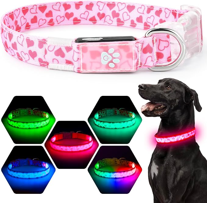 Light up Dog Collar Rechargable - Multicolor LED Dog Collar, 7 Colors Safety Dog Lights with Battery Indicator, Waterproof and Adjustable Heart Print Glow Collar for Dogs (Pink Heart, M)