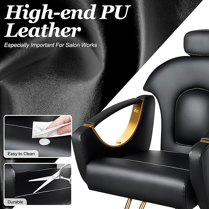 Baasha Ergonomic Reclining Hair Salon Chair, Gold Styling, Removable Headrest, 360 Swivel, Black