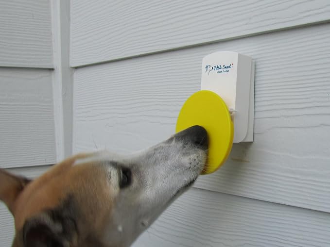 Doggie Doorbell - Blue Accent