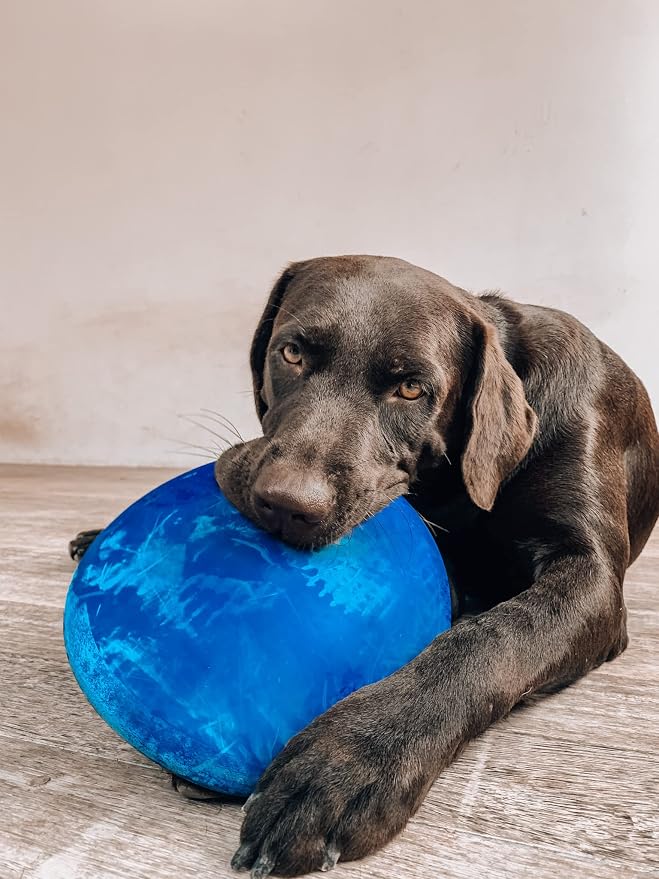 SuperChewer Tough Flying Disc Toy | Lifetime Replacement | Strong Natural Rubber | Great Dog Fetch Toys | Rubber Disc Toy for Dogs | Ultra Durable Chew Toys for Aggressive Chewers | for All Breeds