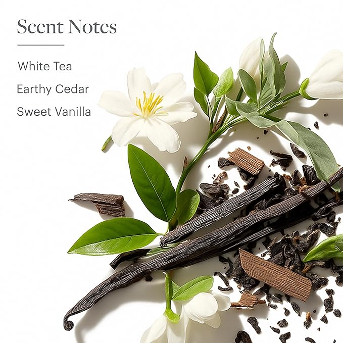 Westin White Tea Aloe Body Wash - Hydrating Bath and Shower Gel with Signature White Tea Aloe Scent - 8 ounces