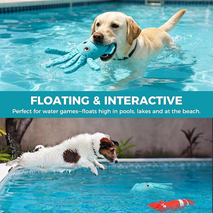 BINGPET Floating Dog Toys,2 Pack Squeaky Water Toys for Pool,Lobster&Squid