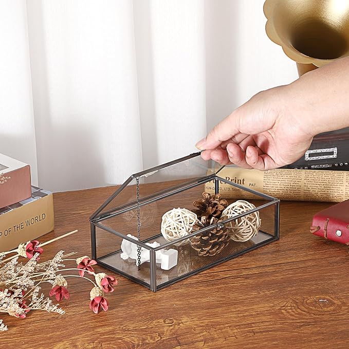 Hipiwe Glass Keepsakes Display Box with Lid - Decorative Black Glass Box | Clear Rectangle Storage for Trinket Perfume Cards Gift