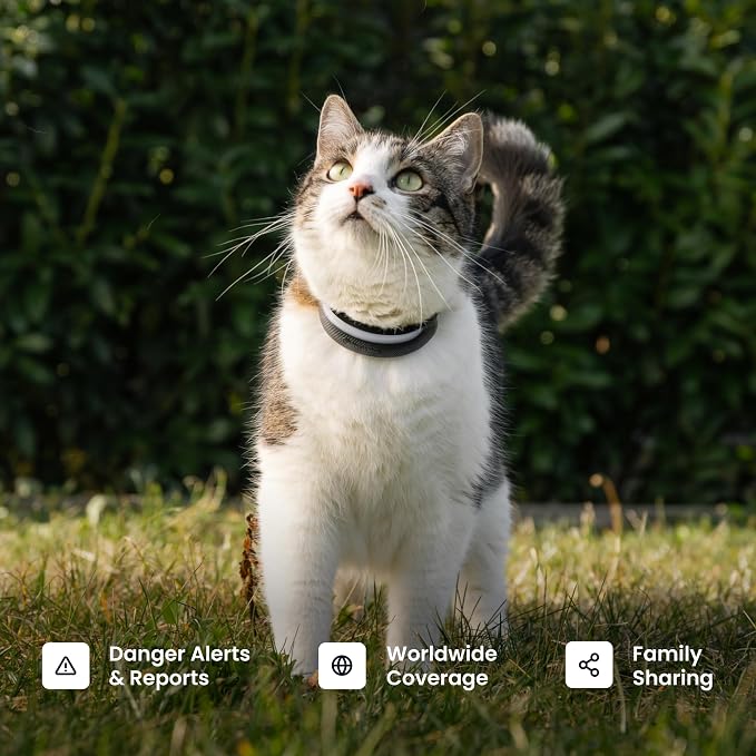 Tractive Smart Cat GPS Tracker Collar | Real-Time Location & Wellness Monitoring for Cats | Territory & Location History | Health Alerts & Vitals Monitoring | Breakaway Collar (Brown) (Lavender)