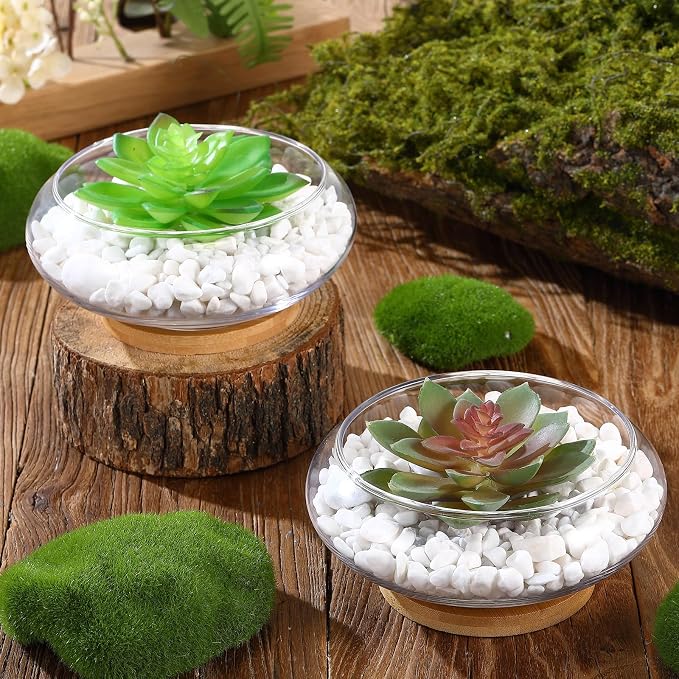 4 Sets Glass Planter Bowls for Flowers with Tray 6'' Round Glass Vase Bowl Hydroponic Lotus Planter Pot Propagation Vases Fish Bowl for Plants Indoor Windowsill Kitchen Desktop Wedding Decor