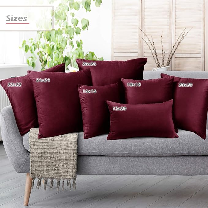 Throw Pillow Inserts Pack of 2 with Velvet Soft Solid Decorative Square Throw Pillow Covers Set for Sofa Couch Car Bedroom, 22X22 Throw Pillows Inserts with 20x20 Washable Cushion Covers, Brownish Red