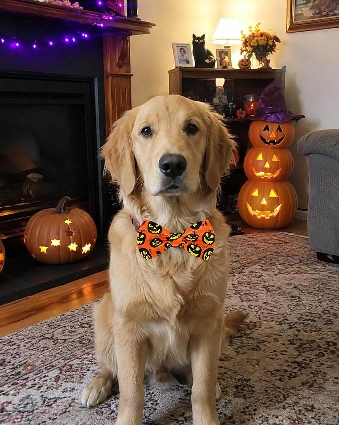 PET SHOW 5 Pack Halloween Dog Bowties for Large Dogs Slide on Collar