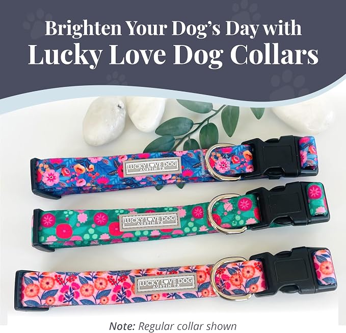 Lucky Love Dog Martingale Collar for Medium Dogs No Slip – Rosie, Medium