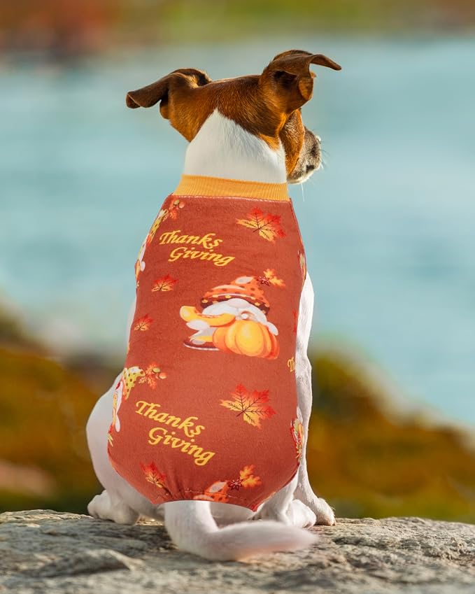 PET SHOW 4 Pack Fall Velvet Dog Pajamas for Small Dogs