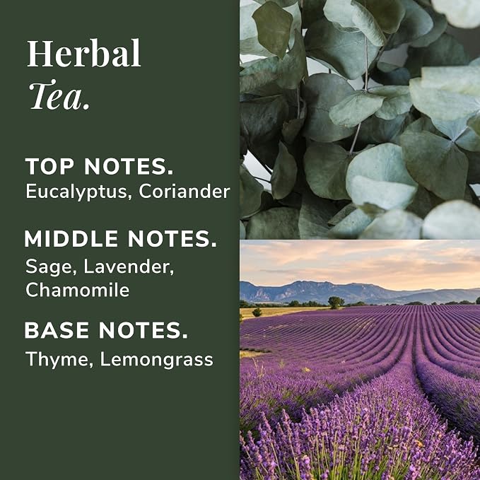 Herbal Tea Aromatherapy Candle – Chamomile, Lavender & Eucalyptus Scented Candle, Plant-Based Wax, Mini 2.8 oz, 15 Hour Burn Time, Fresh & Relaxing Candle