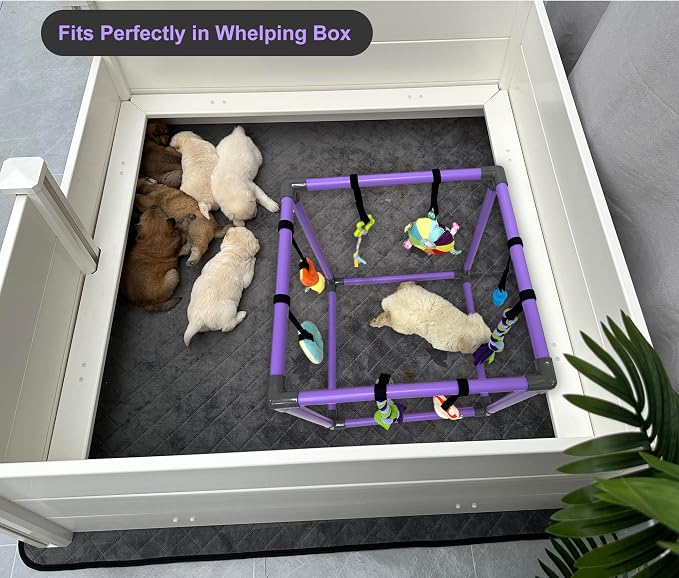 Puppy Play Gym for small dogs with 8 Hanging Interactive Toys Indoor Play