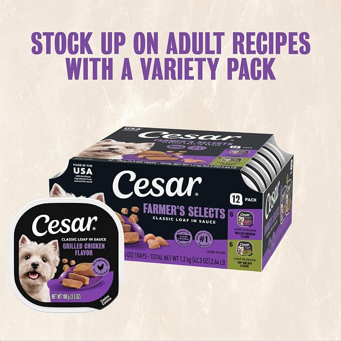 Cesar Classic Loaf in Sauce Wet Dog Food, Grilled Chicken, 3.5 oz, 24 Count | Made in USA, Real chicken #1 ingredient, slow-cooked tender texture, no fillers or artificial flavors, easy peel trays