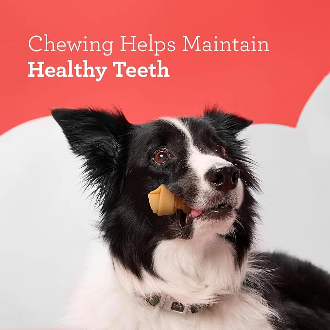 DreamBone Mini Bones Bacon & Cheese Rawhide-Free Dog Treats, 24 Count | Daily Chew, Digests Safely and Completely, Made With Real Protein, Chicken and Veggies, Bacon & Cheese Flavor, For Adult Dogs