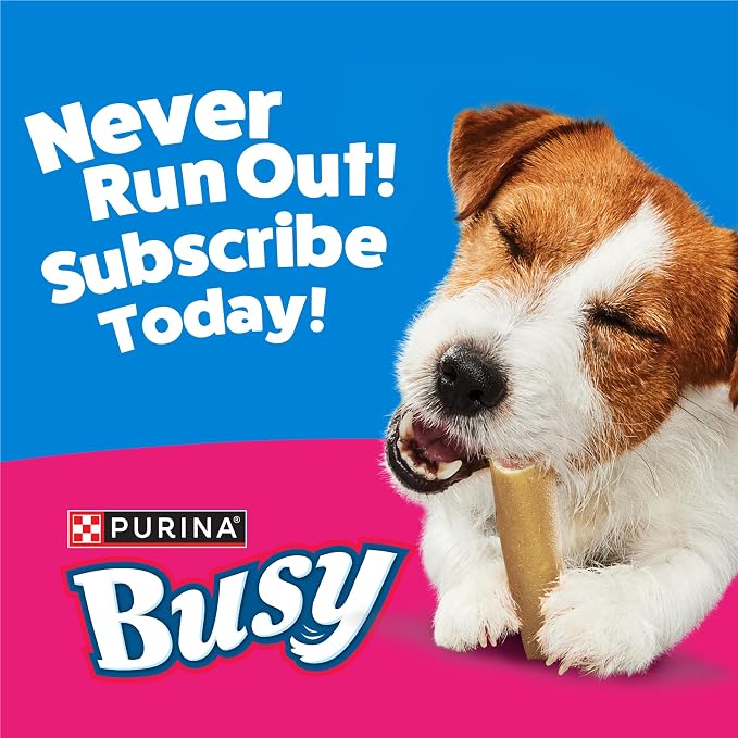 Purina Busy Bone Adult Small Dog Chew Treats, Original, 20 ct Pouch | Rawhide free chew with a real meat center for small dogs up to 35 lbs, long lasting chew that helps clean teeth