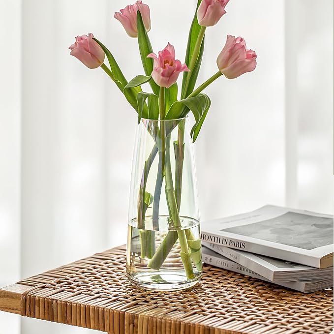 FANTESTICRYAN Modern Glass Vase, 8.7''H Decor Flower Vases, Crystal Clear | Crystal Clear Glass Fresh/Faux Floral Vases, For Home Office Table Centerpiece Decor Housewarming Wedding Gift for Lover