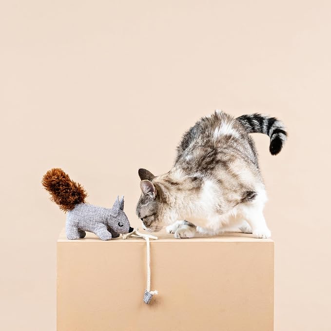 Fringe Studio ONE TUFF NUT Teaser Cat Toy, PetShop Collection (717001)