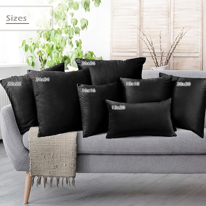 Nestl Throw Pillow Inserts Pack of 2 with Velvet Soft Solid Decorative Square Throw Pillow Covers Set for Sofa Couch Car Bedroom, 12X20 Throw Pillows Inserts with 12x18 Washable Cushion Covers, Black