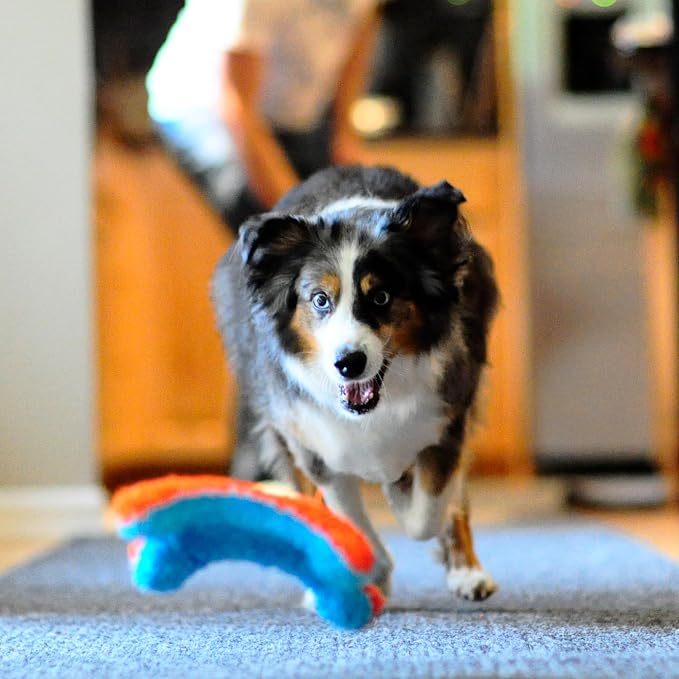 Chuckit! Indoor Fetch Squirrel Toy for Dogs, Orange and Blue