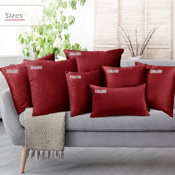 Throw Pillow Inserts Pack of 2 with Velvet Soft Solid Decorative Square Throw Pillow Covers Set for Sofa Couch Car Bedroom, 26X26 Throw Pillows Inserts with 24x24 Washable Cushion Covers, Cherry Red