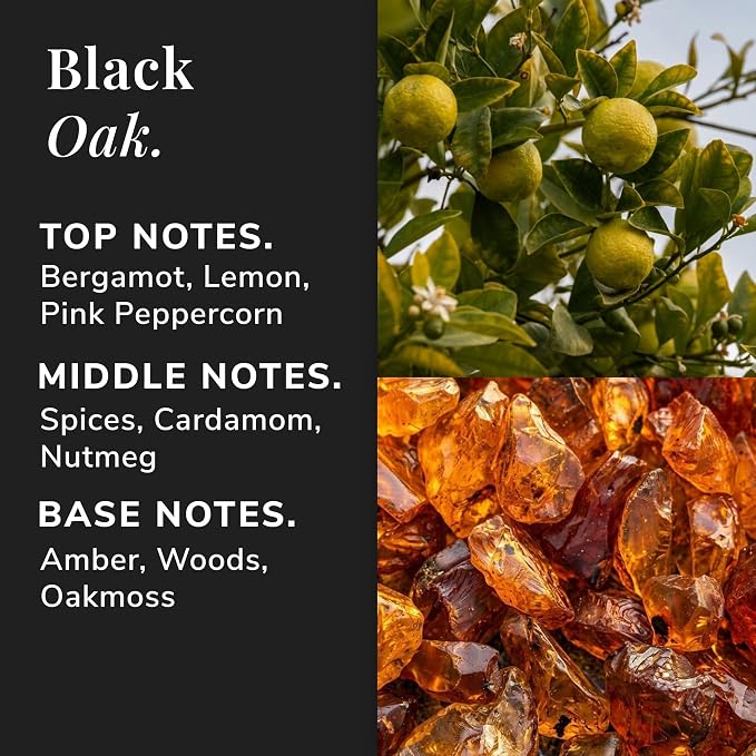 Black Oak Aromatherapy Candle – Bergamot, Cardamom & Oakmoss Scented Candle, Plant-Based Wax, Mini 2.8 oz, 15 Hour Burn Time, Warm & Woody Candle