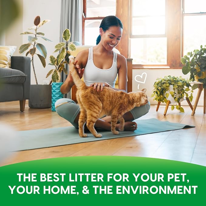 Fresh News Recycled Paper Original Pellet Cat Litter, 12 Pound, Non-Clumping, Unscented, Made in USA (Pack of 3)