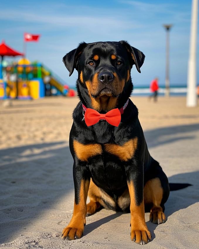 PET SHOW 12 Pack Plain Dog Bowties for Large Dogs Slide on Collar