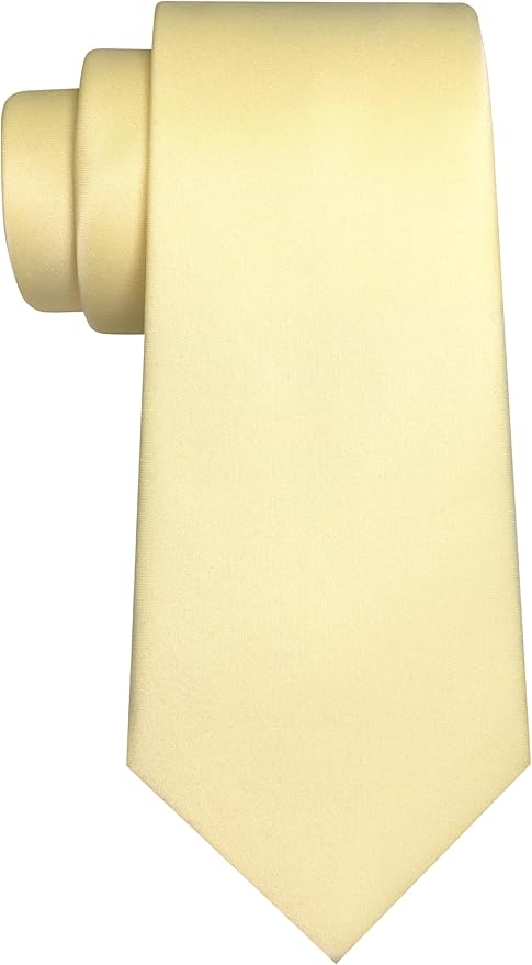 JEMYGINS Solid Color Tie Mens Necktie for Business and Wedding