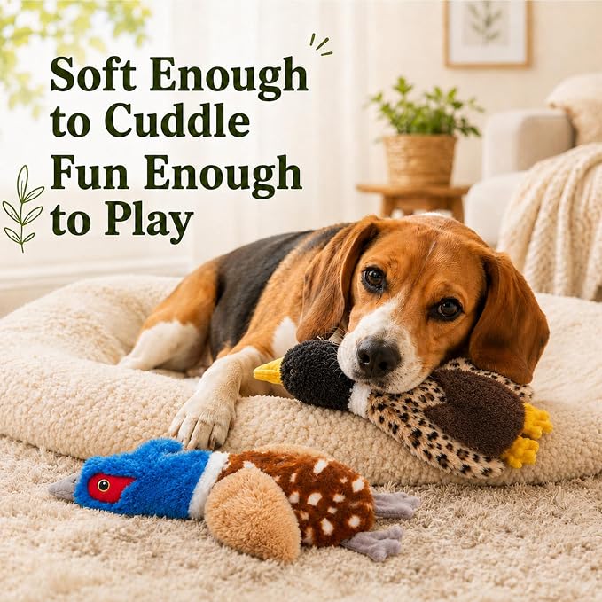 Duck Dog Toys, 2-Pack Stuffing-Free Squeaky Plush Bird Toys with 8 Total Squeakers, Hollow Body No-Stuffing Design for Small Medium Dogs
