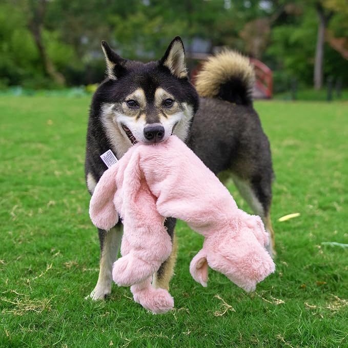 Best Pet Supplies 2-in-1 Stuffless Squeaky Dog Toy - Hare, Pig, Medium
