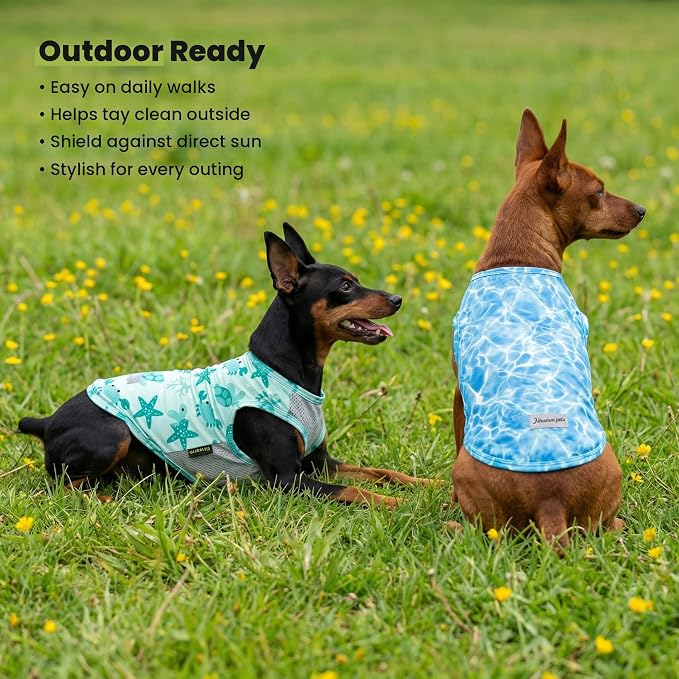 Fitwarm 2 Pack Marine UPF 50+ UV Sun Protection Dog Shirt, Lightweight Cooling Vest, Quick Dry Summer Clothes for Small Dogs Boy Girl, Pet Outfit, Sky Blue, Mint Green, XS
