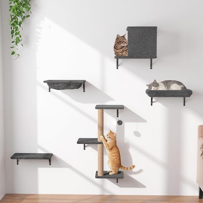 Cat Wall Shelves 5-Piece Set,Cat Walls Furniture for Indoor Large Cats Includes Bed, Cave, Scratching Post, Hammock, Space Saving Floating Shelves (Dark Gray)