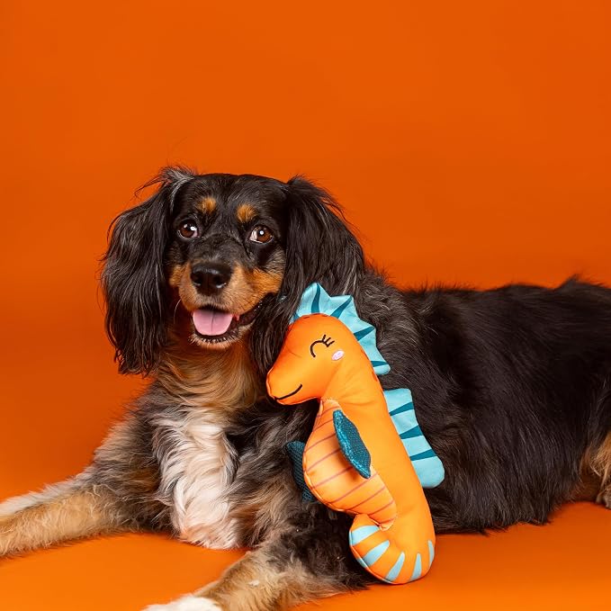 Fringe Studio Floating Dog Toy Living in A Bubble, Pet Shop Collection (640026)