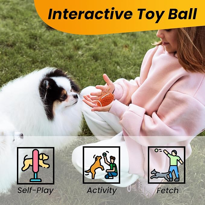 Puppy Toy, Interactive Squeaky Dog Ball Toys for Small Dogs