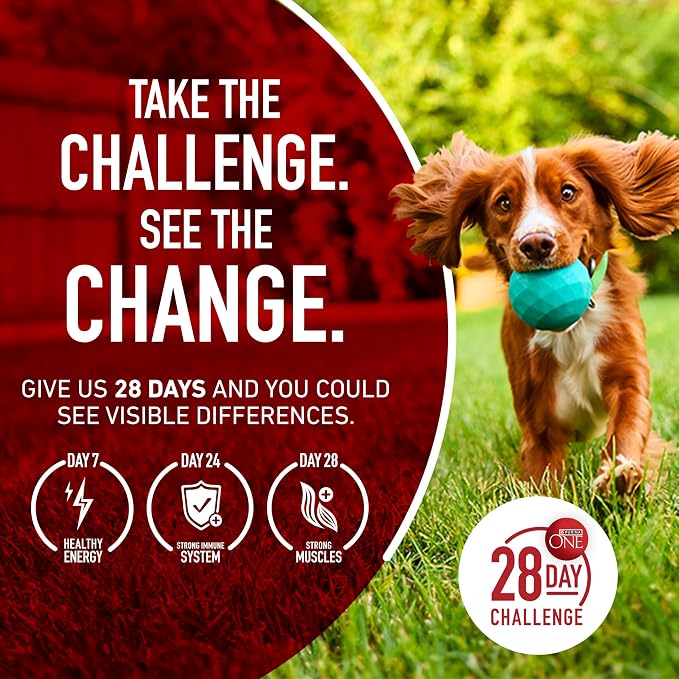 Purina ONE Chicken & Rice Formula Dry Dog Food, 8 lb Bag | High protein dog food with a microbiome balance and SmartBlend of ingredients like prebiotic fiber for gut and immune support
