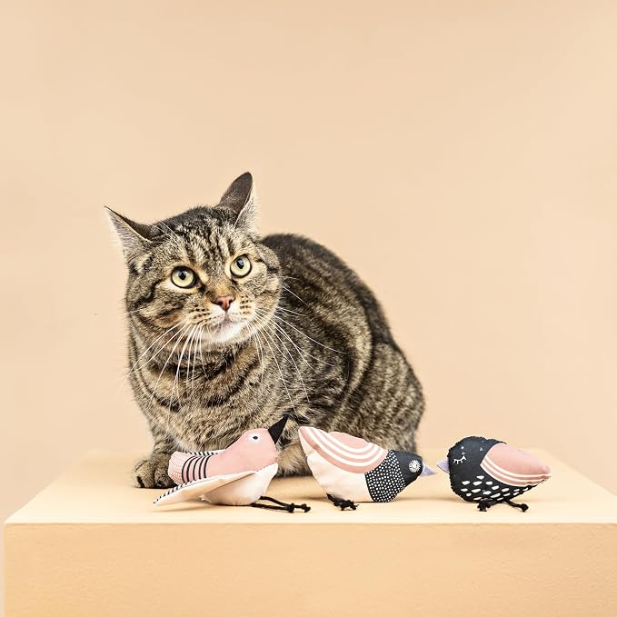Fringe Studio, Under My Wings, Durable Cotton Canvas Cat Toy, 3PCS Set, PetShop Collection (904029)