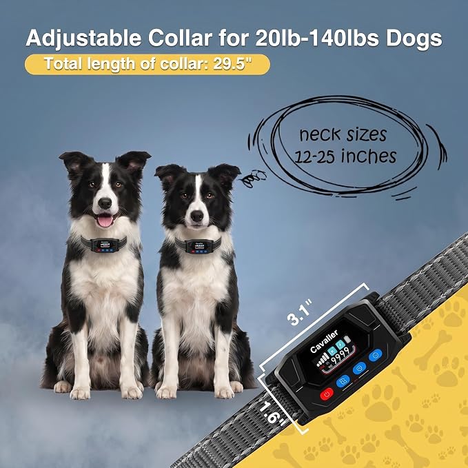PATPET GPS Wireless Dog Fence System- Electric Fence for Dogs with 3 Warning Modes Waterproof 2 Collar | Safe Zone Radius up to 9999 ft| Outdoor Use Only | GPS Positioning