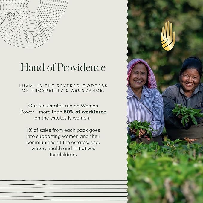 Luxmi Estates Lavender Valley Organic Lavender Tea (50 Tea Bags) Low Caffeine Tea Bags For Relaxing, Calming, and Stress Relief, With Certified Organic Darjeeling Makaibari White Tea