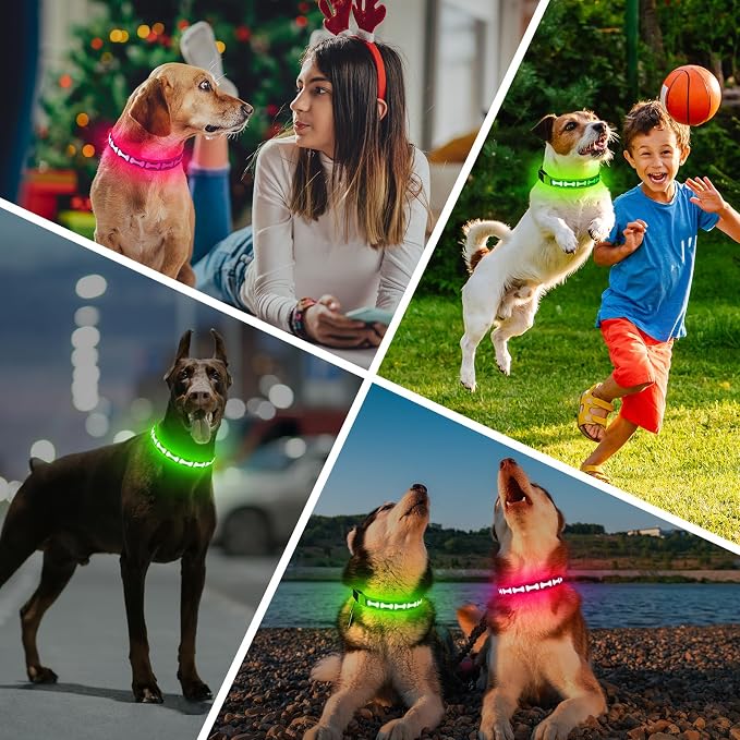 Flashseen LED Dog Collar Light Up USB-C Rechargeable(Pink, Medium)