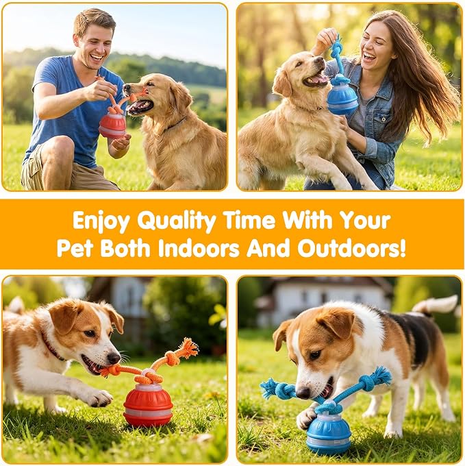 Interactive Dog Toys,Automatic Moving Activated Dogs Ball Toy (Orange)
