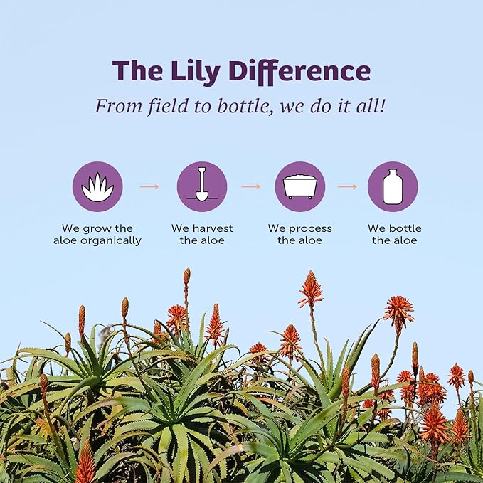 Lily Of The Desert Gelly Moisturizer - 99% Organic Aloe Vera Gel for Skin, After Sun Care with Aloe, Vitamin E Oil, and Vitamin C for Sunburn Relief, 16 Fl Oz