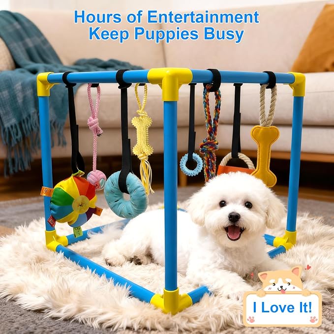 Puppy Play Gym with 8 Hanging Toys, Indoor Jungle Gym for Small Dogs
