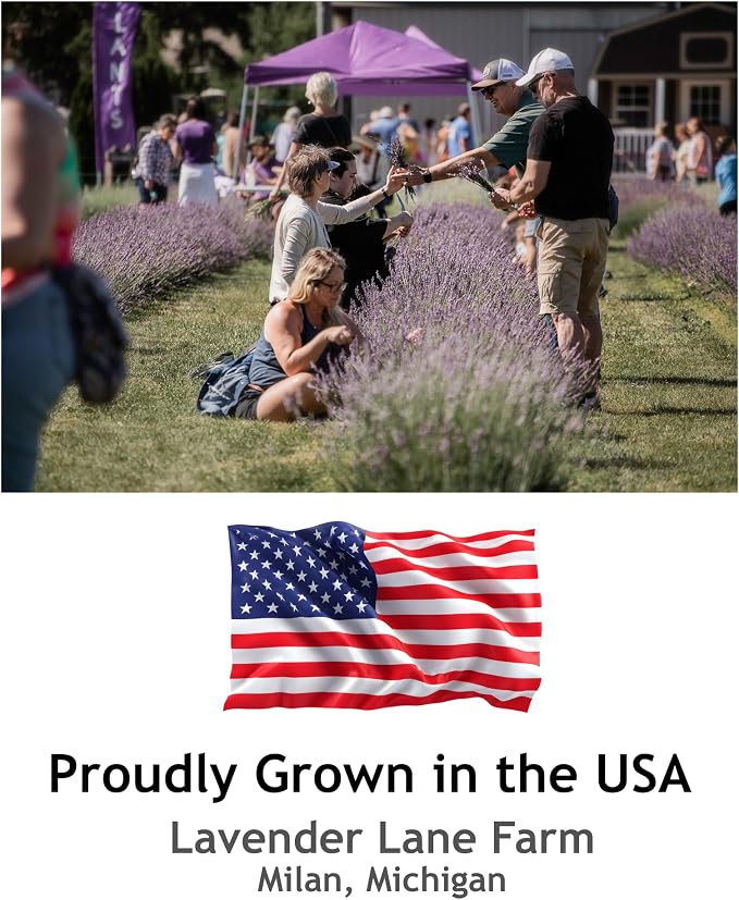 Lavender Hydrosol Floral Water - Distilled on Our Lavender Farm, Facial Toner, Aromatherapy, Linen & Room Mist (32 oz (1/4 Gallon))