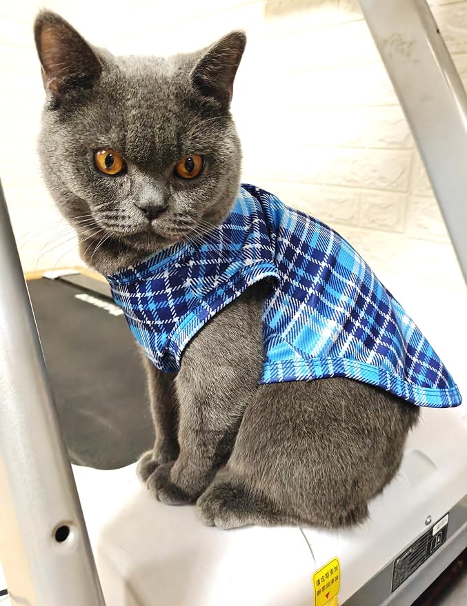 PET SHOW 4 Pack Paw Bone Printed Dog Clothes Shirts Soft Vest Lightweight Sleeveless Cats Doggies T-Shirts Puppies Tank Top Tee for Small Medium Dogs White Black Pink Blue (Medium, Blue for Boys)