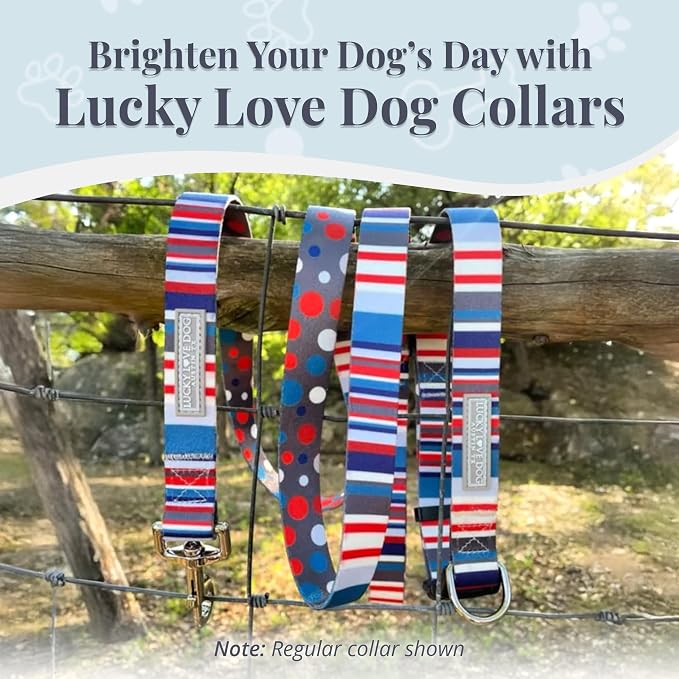 Lucky Love Dog Martingale Collar for Large Dogs No Slip Cute – Linus, Large