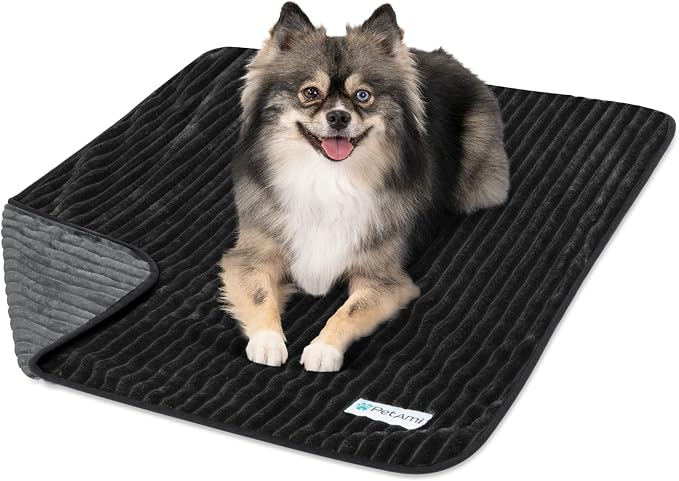 PetAmi Waterproof Dog Blanket, Leakproof Pet Blanket for Small Medium Large Cats, Soft Plush Reversible Sofa Couch Cover Protector, Washable Puppy Throw for Bed Crate, 24x32 in, Black Grey