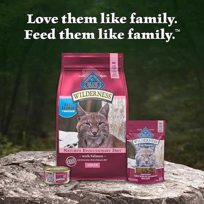 Blue Buffalo Wilderness Salmon Adult Dry Cat Food, Grain-Free, 15 lb | Real Salmon #1 Ingredient, High Protein Nutrition, Supports Immunity with Antioxidant-Rich LifeSource Bits