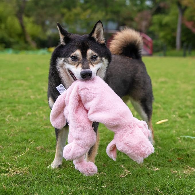Best Pet Supplies Squeaky Dog Toys with Soft Durable Fabric for Small, Medium and Large Pets Interactive Toy for Indoor Play, Supports Active Biting and Play - Wild Duck, Pig, Small