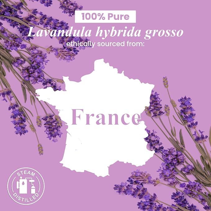 Handcraft Blends Lavender Essential Oil – Huge 4 Fl Oz – Essential Oil for Diffuser and Aromatherapy, Skin, Massage, Candle and Soap Making Fragrance